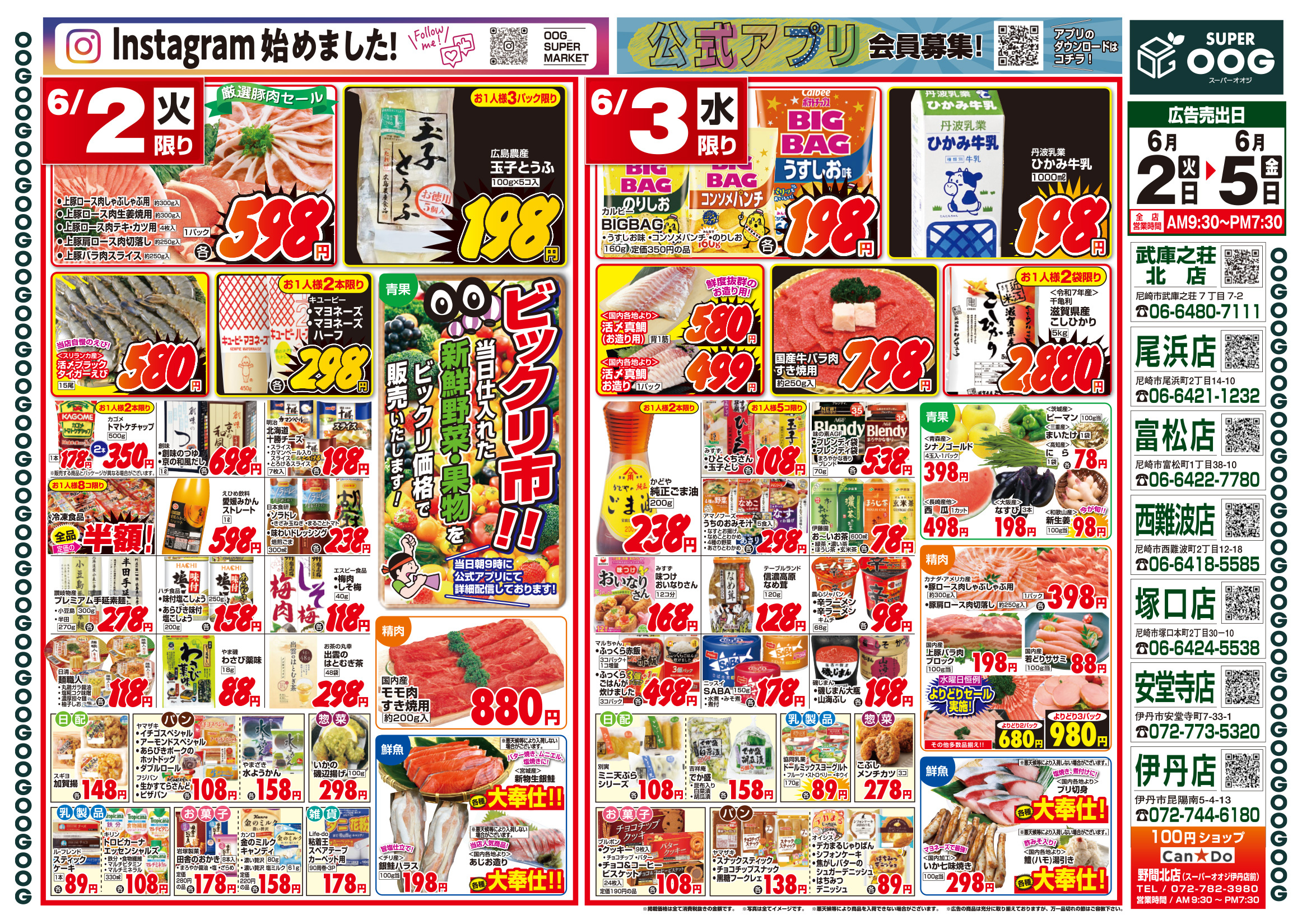 今週のチラシ