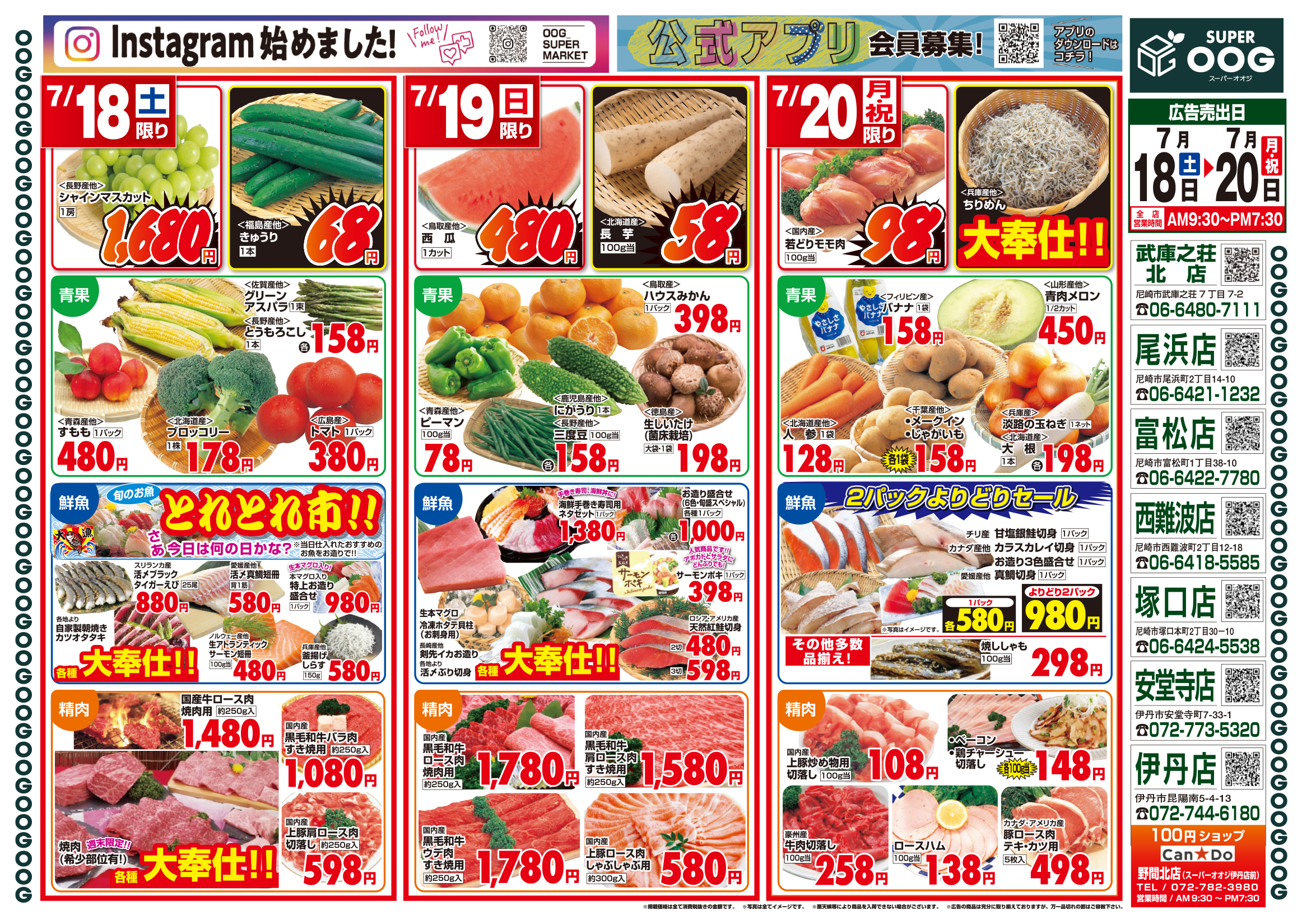 今週のチラシ